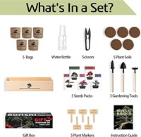 Kit de plantation d'arbres bonsaïs écologiques avec un design mignon et un kit de démarrage pour une utilisation à domicile, cadeau DIY pour adultes