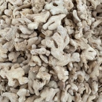Meilleures ventes : Blocs de gingembre cru séché de qualité supérieure, arôme intense, saveur piquante, pour la cuisine, les tisanes et les remèdes naturels, Guangxi, conservation 24 mois