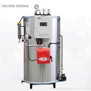 אנכי 300kg גז דוד קיטור עבור קליפה אורז כוח צמח - Product Image 3