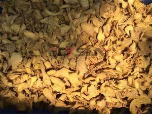 Vente directe d'usine Séchoir à plateau à haricots longs Déshydrateur alimentaire Machine à sécher les légumes Séchoir à haricots longs - Product Image 3