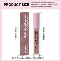Gloss à lèvres liquide mat Danchel effet velours brumeux multi-couleurs longue tenue 3,9 ml – Vente en gros disponible