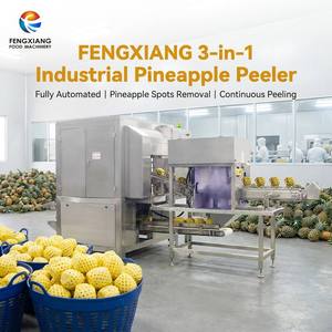 Machine à peler les ananas Fengxiang, certifiée CE, énorme processeur de fruits automatique pour la préparation des ananas de Malaisie - Product Image 1
