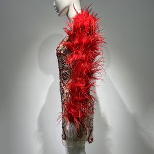 فستان حفلات فاخر للنساء باللون الأحمر مزين بالريش بأكمام طويلة فساتين قصيرة للرقص موضة صيفية جديدة - Product Image 6