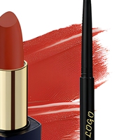 Rouge à lèvres liquide minéral mat de marque privée, certifié CE, 4g, vente en gros, logo personnalisé, fabricant OEM ODM, longue tenue