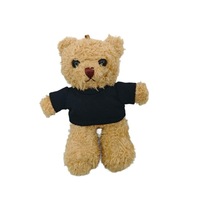 Porte-clés en peluche ours en tissu imprimé avec logo, mini 4 pouces, personnalisé, populaire, vente en gros, jouets Songshan, cadeaux