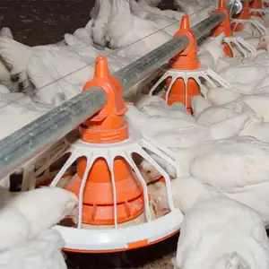 Venda quente panela alimentadora automática para alimentação sistema frango frango frango casa