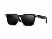 Lunettes Intelligentes IA Traducteur Vocal Protection UV400 Lunettes de Soleil pour Hommes et Femmes Lunettes IA Meta 2026 Assistant IA ChatGPT