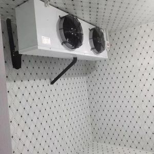 Yeni ürün mini soğuk oda depolama taşınabilir soğuk oda mobil soğuk depolama odaları - Product Image 6