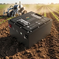 Batterie pour robot agricole Lithmate OEM, cycle profond, longue autonomie, 12V 24V 48V 72V 20Ah 45Ah 60Ah 100Ah 200Ah
