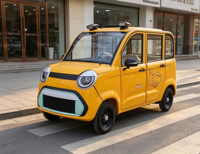 Quadricycle électrique pour adultes à usage passagers, 2 portes, 4 places, avec caméra de recul, chauffage, moteur 1000W, autonomie 100 km