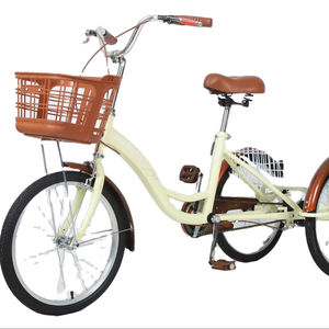 Triciclo de Pedales Personalizado para 2 Adultos, Mini Bicicleta de Carga de 3 Ruedas con Horquilla de Acero para Desplazamientos Urbanos en India - Product Image 1