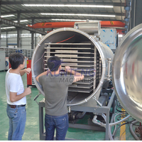 China Leverancier Fruit En Groente Knapperige Fruit En Vlees Vriesdroger Lage Temperatuur Droogmachine