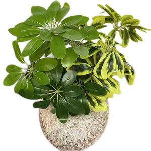 Plantes Artificielles 30cm Branches de Feuilles de Schefflera Artificielles Fabrication de Fausses Plantes pour la Décoration d'Intérieur <span class=keywords><strong>et</strong></span> de <span class=keywords><strong>Jardin</strong></span> - Product Image 3