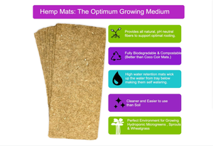 Kit de culture au sol biologique Greens Country Style avec 4 tapis suspendus, comprenant chou frisé, daikon, radis, arugula, <span class=keywords><strong>moutarde</strong></span> - Product Image 3