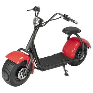 1000w Zero 11x Sale Brother Ck Two Wheel Kids Off Road Scooter Electric Scooter Patinete Adults