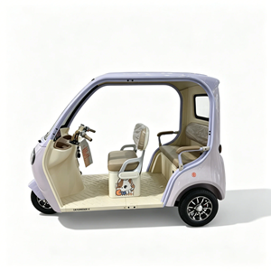 Triciclo Eléctrico de Pasajeros 2026, Vehículo Turístico Apto para Hoteles y Lugares Turísticos, Triciclo Eléctrico LSV Tipo Abierto - Product Image 5