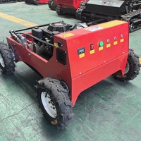Cortacésped a gasolina de 550 mm con control remoto para corte de césped en huertos y jardines, altura de corte de 610 mm, para suministro de marca privada