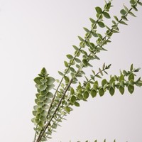 Décoration de bureau miniature : Composition de verdure artificielle en plastique, style forêt, avec des tiges longues de fleurs de prunier