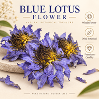 Fleur de lotus bleue séchée naturelle (Nymphaea Caerulea) Ingrédient botanique pour les tisanes et les produits de bien-être