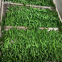 Haricots verts surgelés IQF en provenance de Chine, en cubes, pour la vente en gros | Haute qualité | Emballage en vrac | Idéal pour la cuisine | 10 kg en vrac | Prix compétitif