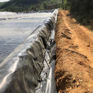 プールライナーエンジニアリングGeomembrane HDPEライナーコストスイミングHDPE - Product Image 4