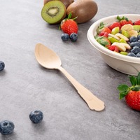 Cuillères à glace jetables en bois écologiques et élégantes EVERYDAY – Couverts compostables pour fêtes et petits gâteaux