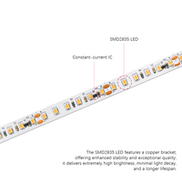Fournisseur de Bandes LED à Courant Constant, Bande LED à Courant Constant avec IC Intégré 2835 CCT 15m, Sans Chute de Tension