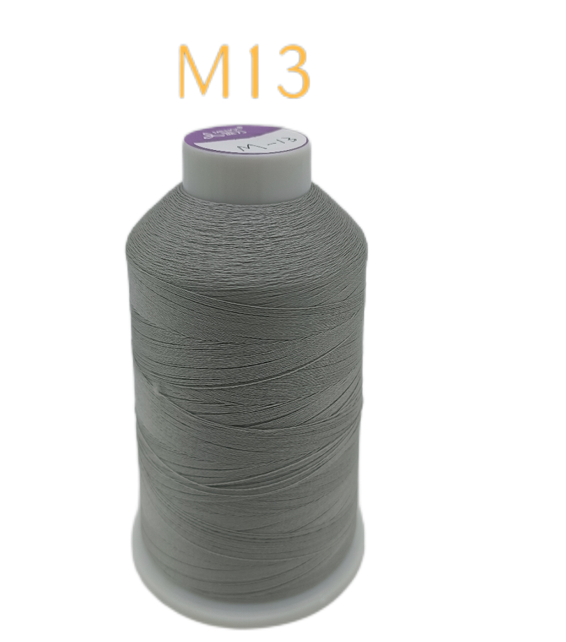 M13
