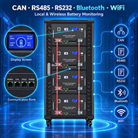 Armoire de batterie LiFePO4 64 kWh 51,2 V 280 Ah 314 Ah à montage en rack avec BMS 200 A CAN RS485 pour stockage d'énergie solaire