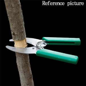 Tijeras de <span class=keywords><strong>Podar</strong></span> <span class=keywords><strong>para</strong></span> Jardinería, 6 Tipos, <span class=keywords><strong>para</strong></span> Invernadero, Huerto, Plantas, Flores, <span class=keywords><strong>Árboles</strong></span> Frutales, Ramas, Alicates de Injerto, Cortador de Jardín - Product Image 6