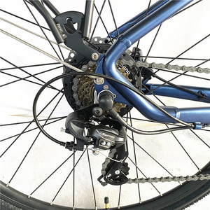 Bicicletta Elettrica Più Venduta del 2020 di Alta Qualità da 1000w, Bicicletta Elettrica da 26 Pollici - Product Image 5