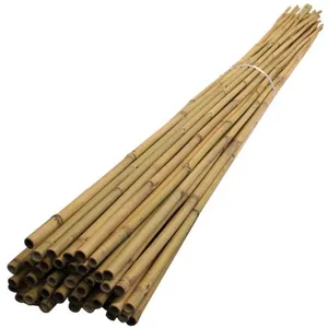 Rigid natural tonkin canes bamboo for Construction 