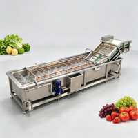 Commerciële 800kg/u 4m lange luchtbel fruit- en groentewasmachine voor mango, appel en verse vruchten, continue reiniging en productie