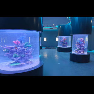 תכנון בהתאמה אישית, תחזוקה של תצוגות מים גדולות מאקריליק, אקווריום דגים - Product Image 3