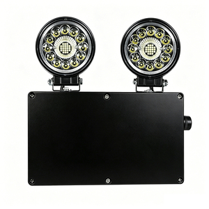 Luz de Emergencia LED de Baja Temperatura (-40 Grados), Iluminación de Emergencia Impermeable, Luz de Doble Cabezal para Cámaras Frigoríficas - Product Image 6