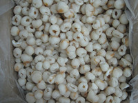 BRC HALAL Groothandel Fabriek Goedkope Prijs Premium Diepvries Gepelde Lychee IQF Vers Diepvries Lychee Herkomst China