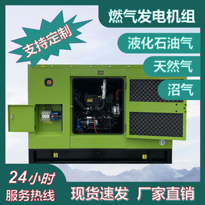 PULITA Gas Generator <b>Set</b> 1000kw 380v Three Phase For <b>Farm</b> And Oilfield Use - Product Image 5