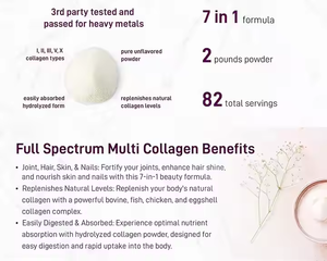 แป้งอาหารเสริมคอลลาเจนหลายชนิดพร้อมวิตามินซีช่วยเสริมความงามสำหรับผู้ใหญ่ผิวหนังและเล็บของผู้หญิงไม่ใช่สำหรับเด็ก - Product Image 2