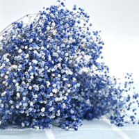 Hete Aanbieding Fabrieksuitverkoop Gedroogde Baby's Adem Gypsophila Bloemen Miljoenen Sterren Bouquet voor Bruiloft/Huisdecoratie