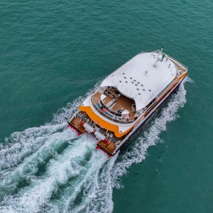 Catamarano in Alluminio Grandsea Lunghezza 37m, 340 Posti, Barca da Escursione, Traghetto Turistico, Imbarcazione Panoramica in Vendita - Product Image 4