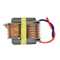12V 15KV convertisseur de tension haute fréquence générateur d'arc à noyau toroïdal convertisseur Boost transformateur de puissance marque chinoise