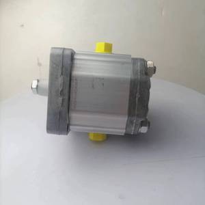 Bomba de Engranajes HPL Bondioli & <span class=keywords><strong>Pavesi</strong></span> HPLPA220SMNG6G4BHY - Product Image 4