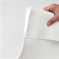 Feuille de PTFE expansé vierge EPTFE, plaque d'étanchéité industrielle flexible, taille personnalisée