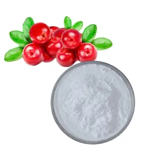 Factory Supply Premium Bearberry Extract Powder Fruit Extract 99% Alpha Arbutin