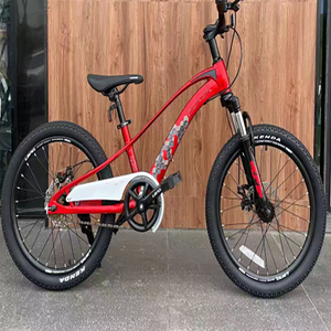Bicicleta de Pedal de horquilla de aleación de magnesio de 20 pulgadas <span class=keywords><strong>para</strong></span> niños y <span class=keywords><strong>niñas</strong></span> de escuela primaria bicicleta individual de aleación de magnesio bicicleta grande <span class=keywords><strong>para</strong></span> niños - Product Image 2