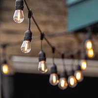 Luz Solar LED con E 27 S 14, bombillas de filamento Edison, cadena de luces de jardín, 10 LED