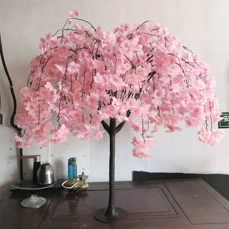 3ft ต้นซากุระ