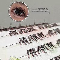 HERORANGE Cils individuels en fibres synthétiques imitation vison, rouge minuit, 10 mm, mélange, naturels, transparents, faciles à poser, pour débutants, boîte personnalisée