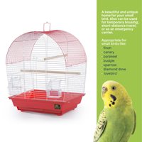Cage à oiseaux à dôme en métal et plastique, design multi-niveaux, perchoirs en bois, mangeoires transparentes, plateau en plastique - Utilisation intérieure/extérieure