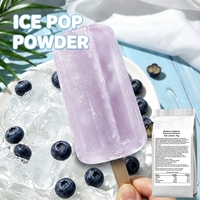 Harga Pabrik Langsung Bubuk Campuran Es Krim Rasa Blueberry Kemasan 1kg Bersertifikat Halal Bubuk Es Krim Instan untuk Eceran